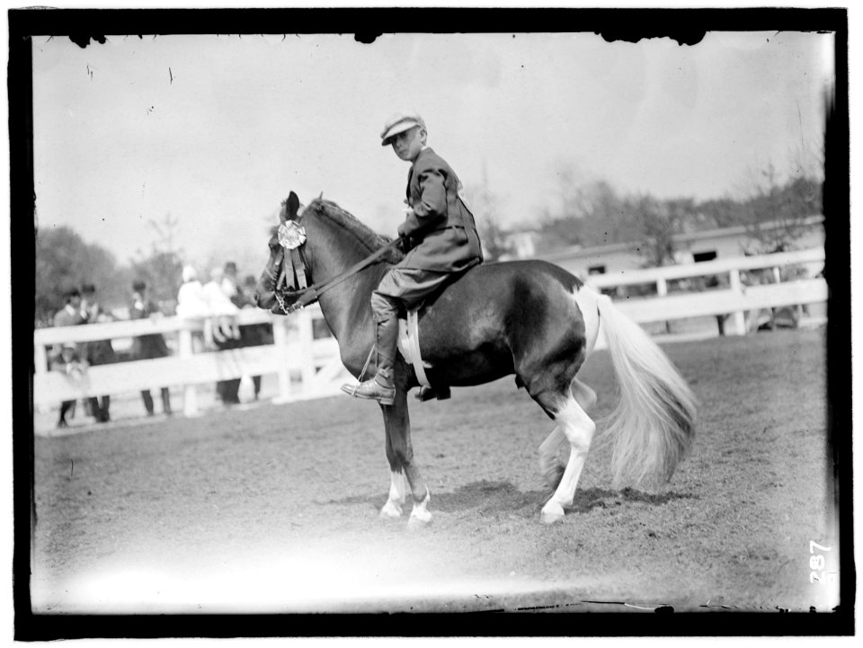 HORSE SHOWS. CHILDREN AND PONIES LCCN2016863289