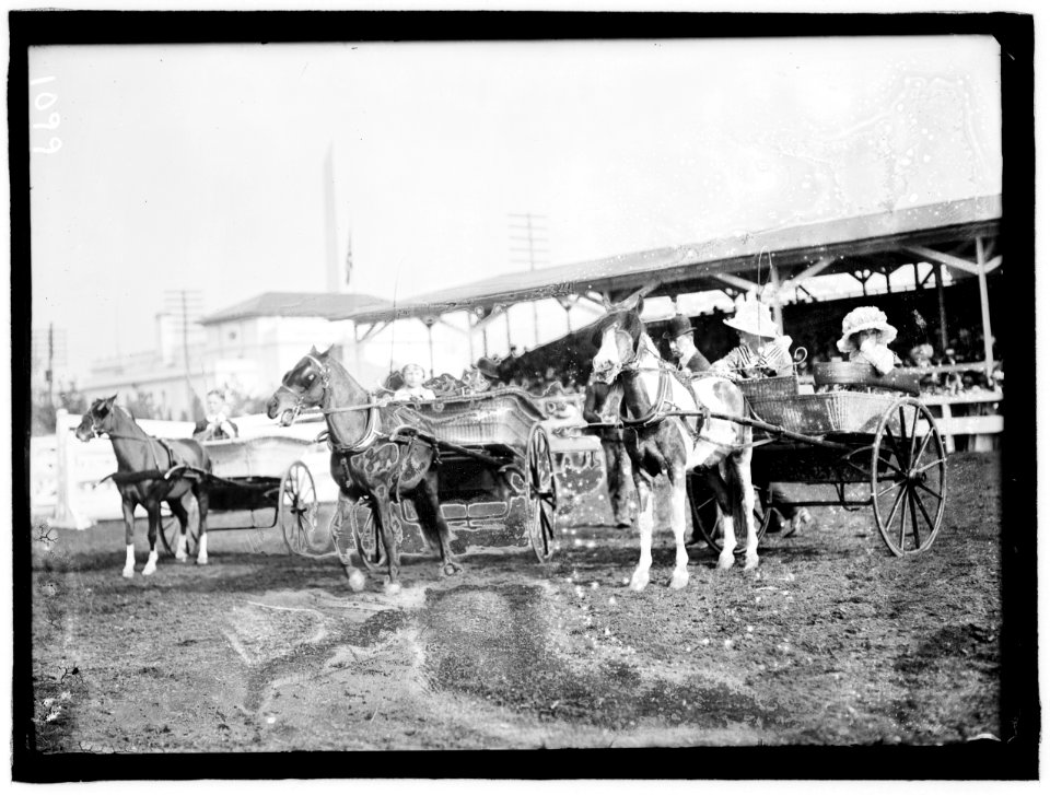 HORSE SHOWS. CHILDREN AND PONIES LCCN2016863671