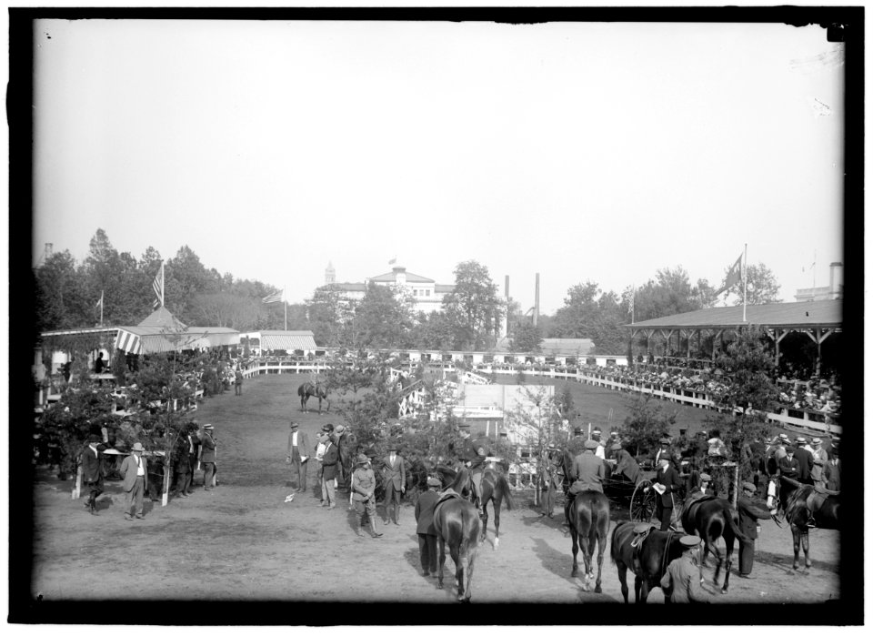 HORSE SHOWS. GENERAL VIEW LCCN2016866384