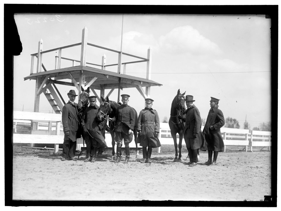 HORSE SHOWS. DIRECTORS OF NATIONAL CAPITAL HORSE SHOW, AT GROUNDS LCCN2016869877