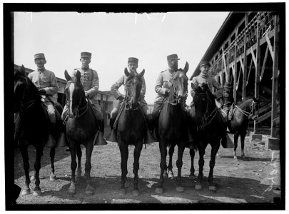 HORSE SHOWS. FRENCH OFFICERS LCCN2016869066