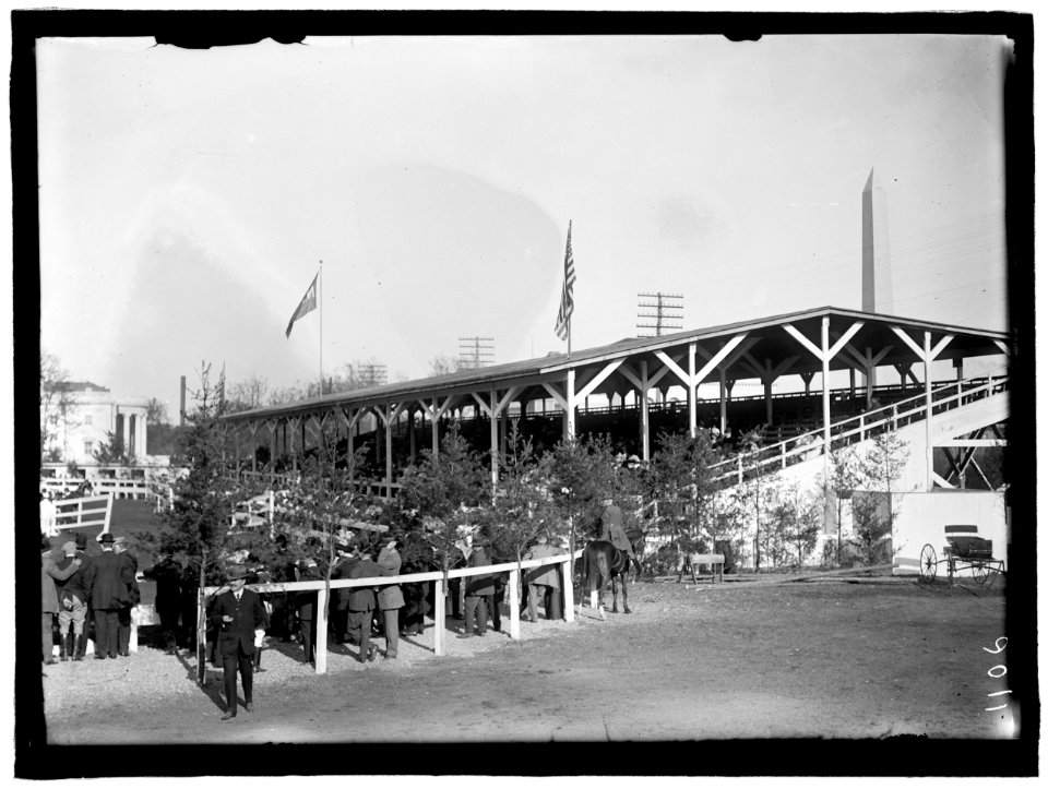 HORSE SHOWS. GENERAL VIEWS LCCN2016863678