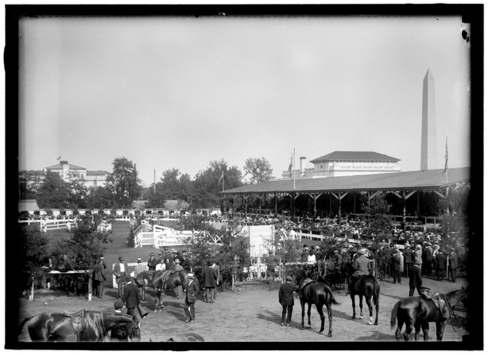 HORSE SHOWS. GENERAL VIEW LCCN2016866385