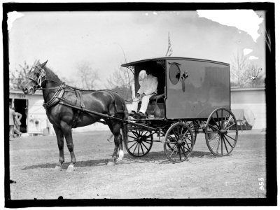 HORSE SHOWS. HORSE AND WAGON LCCN2016863333