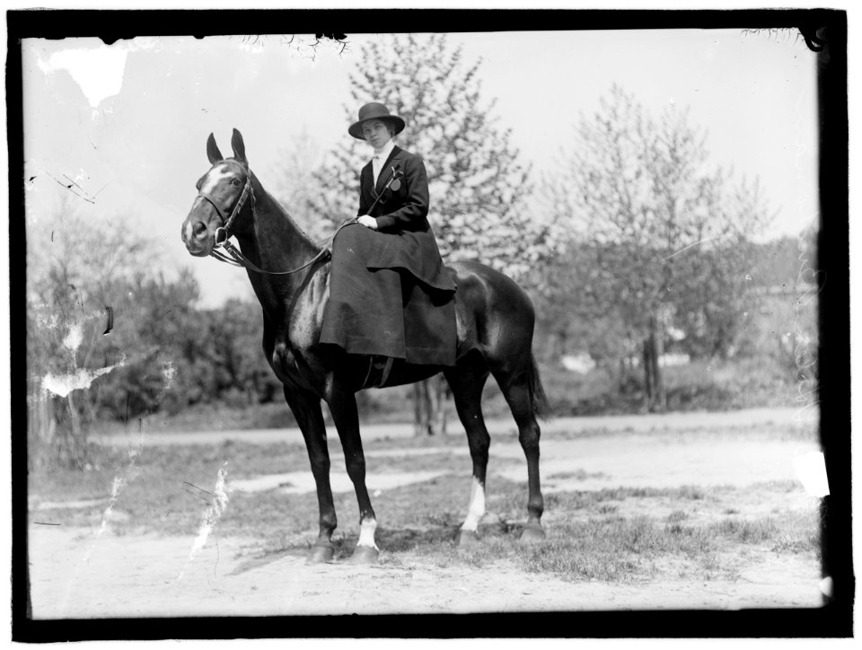 HORSE SHOWS. Helen Buchanan LCCN2016863620