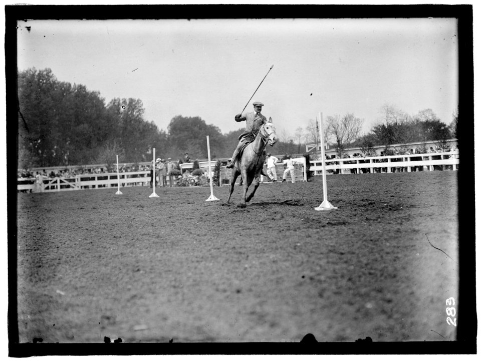 HORSE SHOWS. HUGH LEAGARE LCCN2016863287