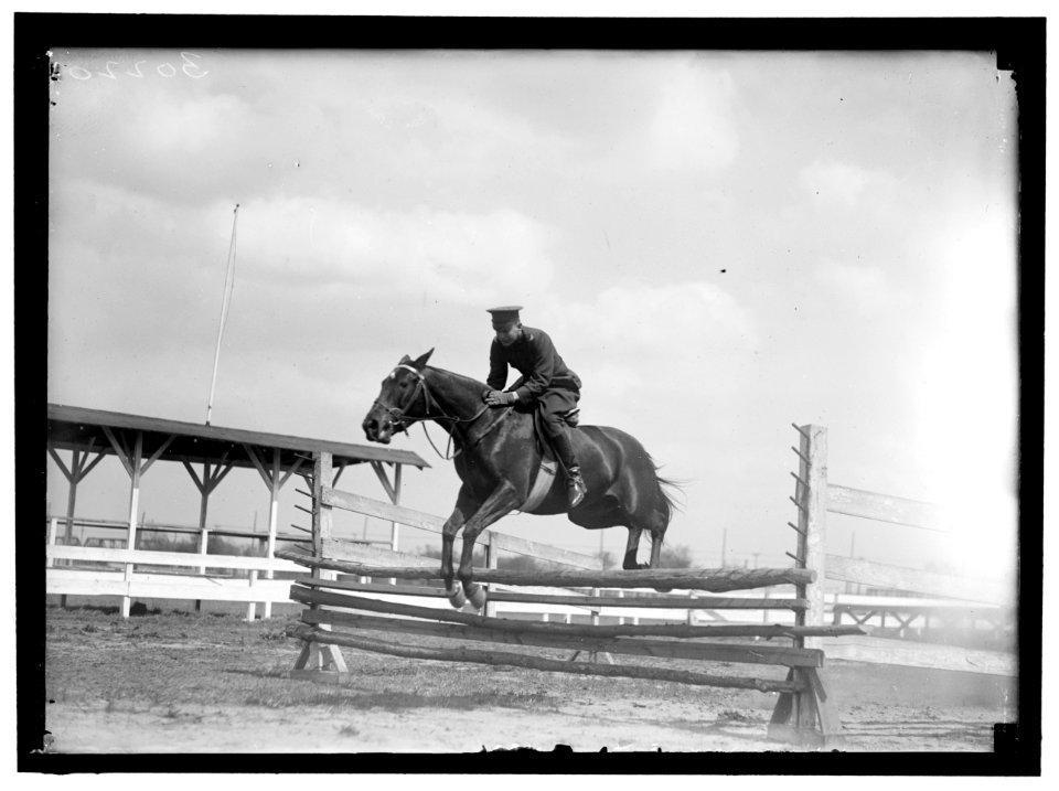 HORSE SHOWS. HORSE SHOW GROUNDS LCCN2016869872