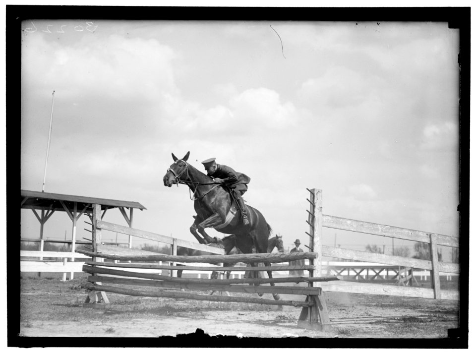 HORSE SHOWS. HORSE SHOW GROUNDS LCCN2016869878