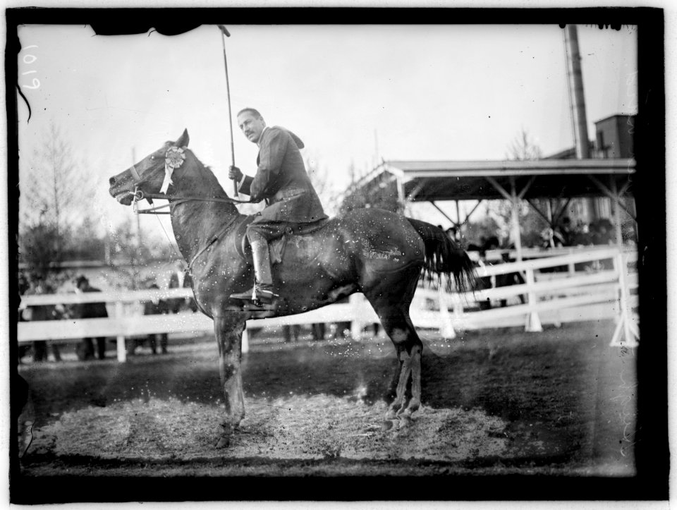HORSE SHOWS. HUGH LEGARE ON 'RED BIRD' LCCN2016863622