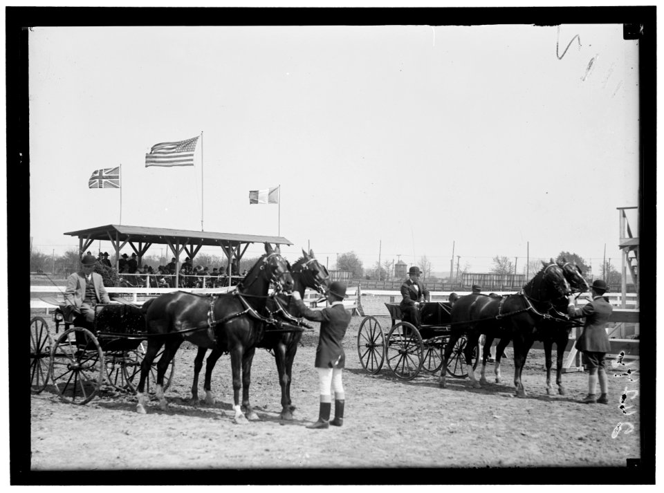 HORSE SHOWS. MISC. VIEWS LCCN2016869069