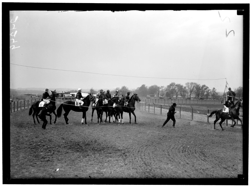 HORSE SHOWS. MISC. VIEWS LCCN2016869072