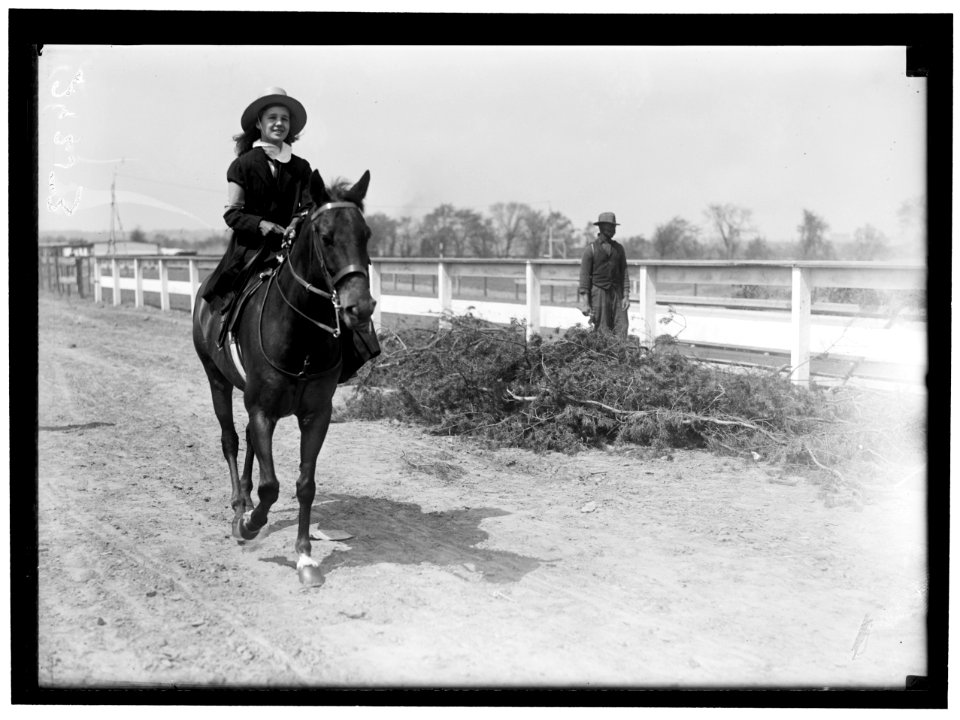 HORSE SHOWS. MISC. VIEWS LCCN2016869074