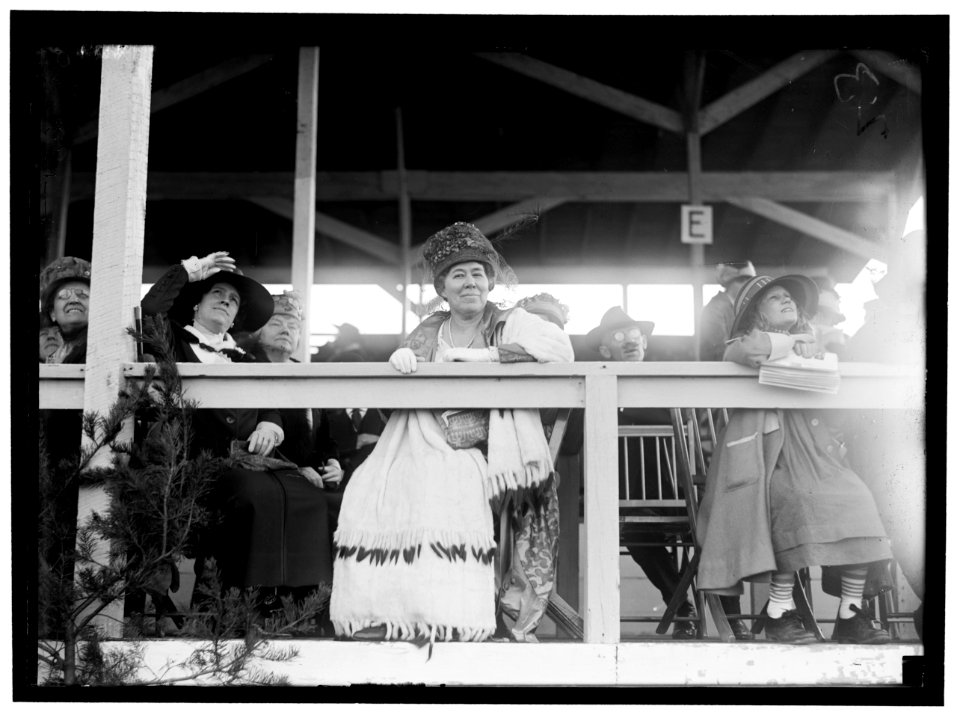 HORSE SHOWS. MISC. VIEWS LCCN2016869076