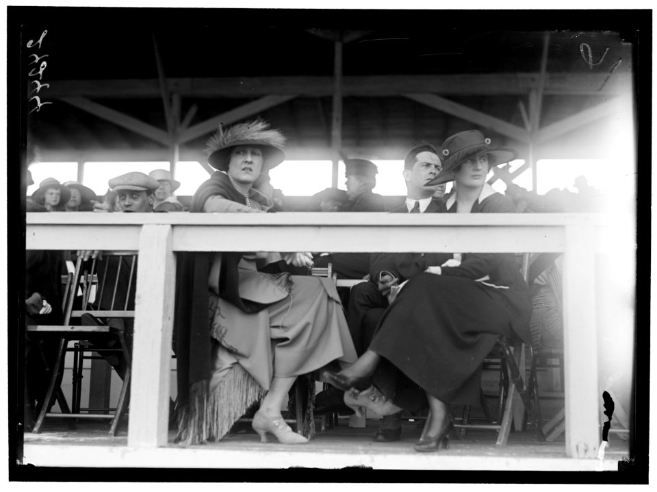 HORSE SHOWS. MISC. VIEWS LCCN2016869068