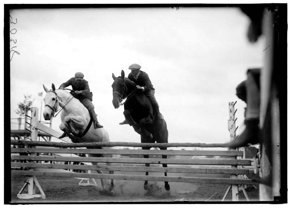 HORSE SHOWS. MISC., UNIDENTIFIED LCCN2016869958