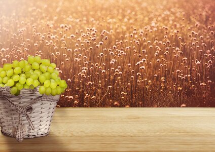 Health wellness fruit basket