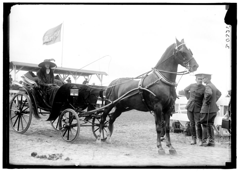 HORSE SHOWS. MISC., UNIDENTIFIED LCCN2016869965