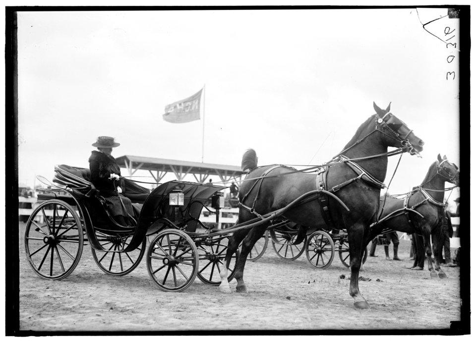 HORSE SHOWS. MISC., UNIDENTIFIED LCCN2016869956