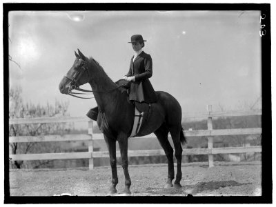 HORSE SHOWS. MISS HARRIET T. WADSWORTH LCCN2016863229