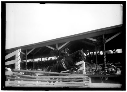HORSE SHOWS. MISS DOROTHY DAVIS ON 'DELIGHT' LCCN2016866389