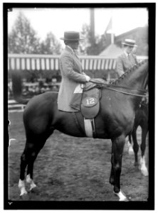 HORSE SHOWS. MRS. AILEEN POTTS LCCN2016867326