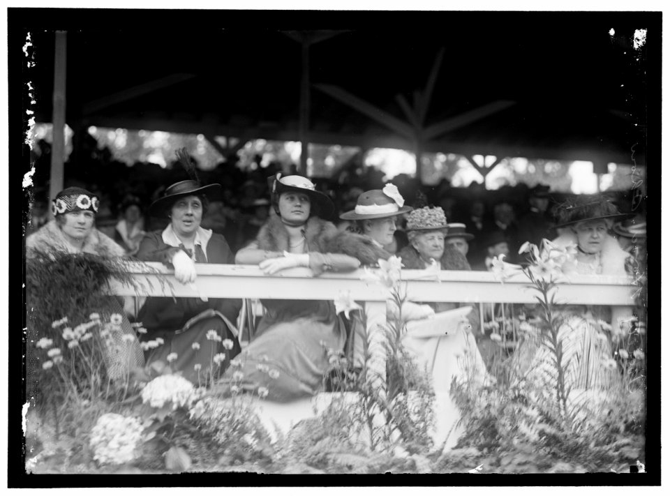 HORSE SHOWS. SOCIETY LCCN2016867263