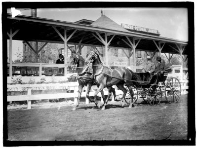 HORSE SHOWS. TEAM DRIVEN BY GENERAL NELSON A. MILES, LEFT, WITH P. V. DeGRAW LCCN2016863629