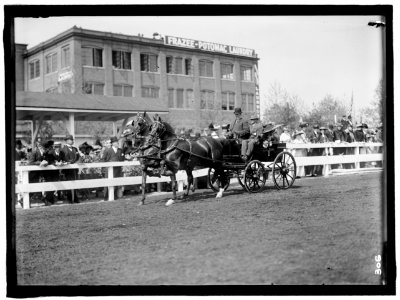HORSE SHOWS. TEAMS LCCN2016863300