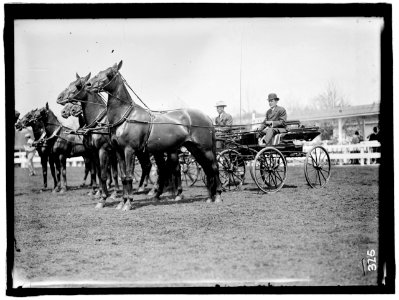 HORSE SHOWS. TEAMS LCCN2016863314