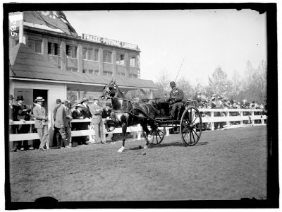 HORSE SHOWS. UNIDENTIFIED MEN, DRIVING LCCN2016863288 photo