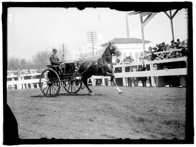 HORSE SHOWS. UNIDENTIFIED MEN, DRIVING LCCN2016863309 photo