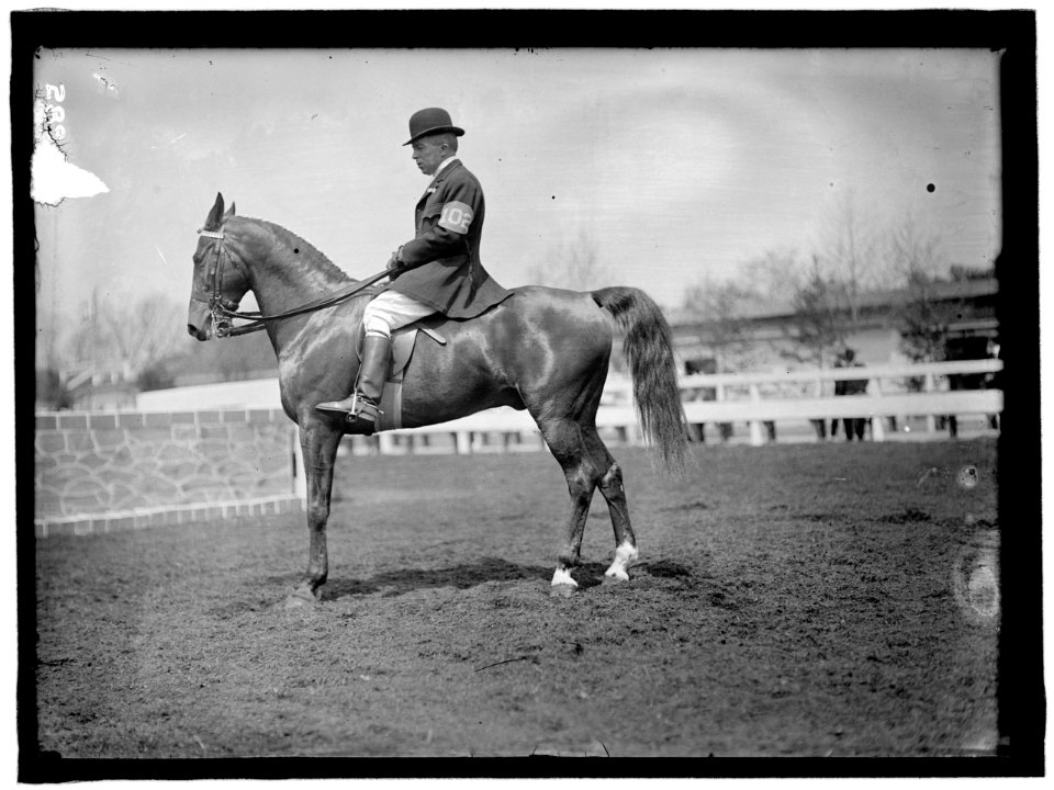 HORSE SHOWS. UNIDENTIFIED MEN, MTD. OR HURDLING LCCN2016863290