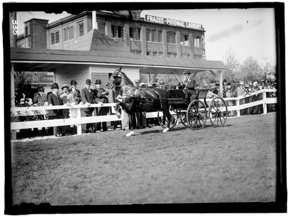 HORSE SHOWS. UNIDENTIFIED MAN DRIVING. GEN. ALLEN AND SECRETARY DICKINSON STANDING BACK OF FENCE NEAR HEAD OF HORSE LCCN2016863324