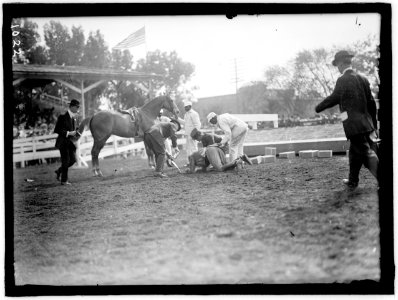 HORSE SHOWS. VICTOR MATHER FALLING FROM 'PAGAN KIN' LCCN2016863624