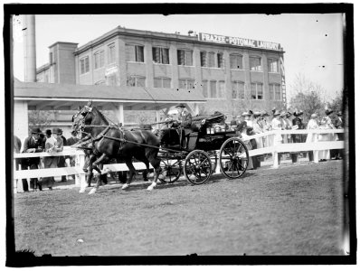 HORSE SHOWS. UNIDENTIFIED MEN, DRIVING LCCN2016863328 photo