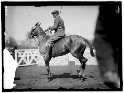 HORSE SHOWS. UNIDENTIFIED MEN, MTD. OR HURDLING LCCN2016863298