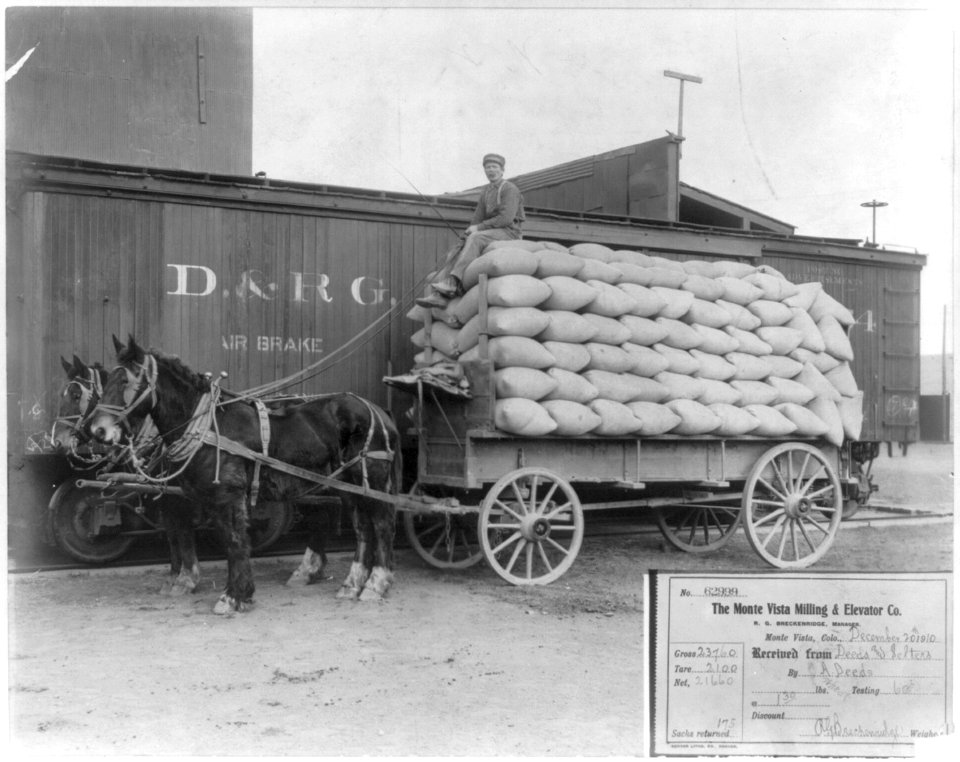 Horse-drawn wagon loaded with 175 sacks of wheat beside freight car LCCN2007677294