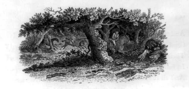 Horsemen and hounds chasing fox across English countryside LCCN2002698716