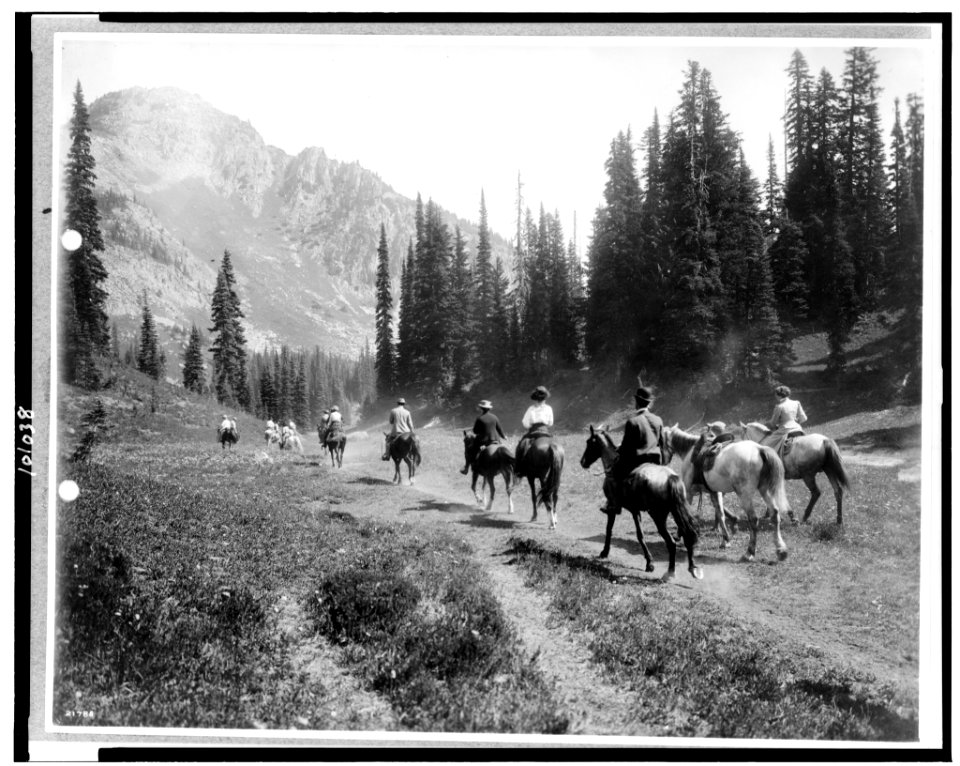 Horseback riders on the trail of Indian Henry's, Mt. Rainier National Park, Washington LCCN90709621