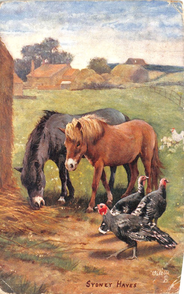 Horses and turkeys by Sydney Hayes