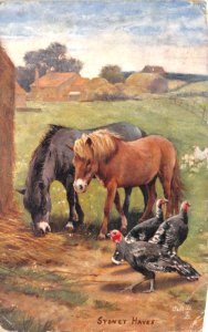 Horses and turkeys by Sydney Hayes photo