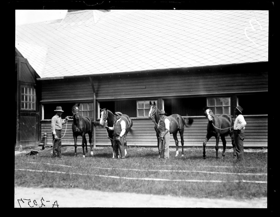 Horses LCCN2016890705