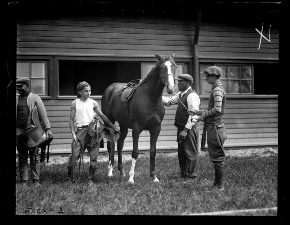 Horses LCCN2016890707