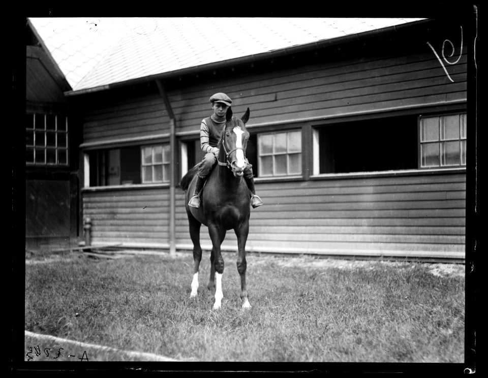 Horses LCCN2016890711