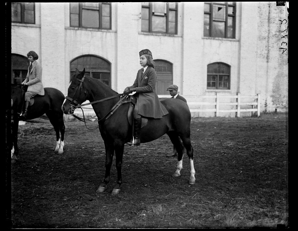 Horses LCCN2016891098