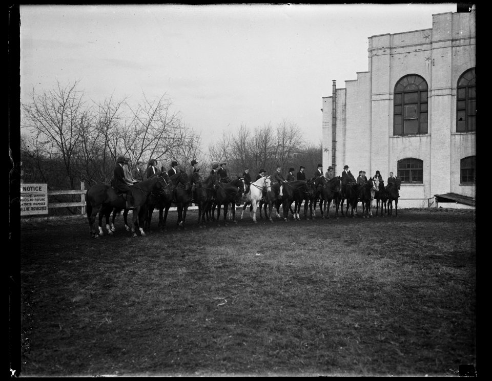 Horses LCCN2016891100