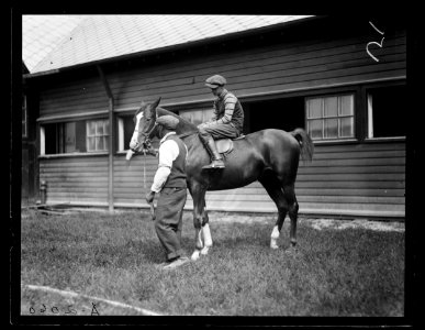Horses LCCN2016890708