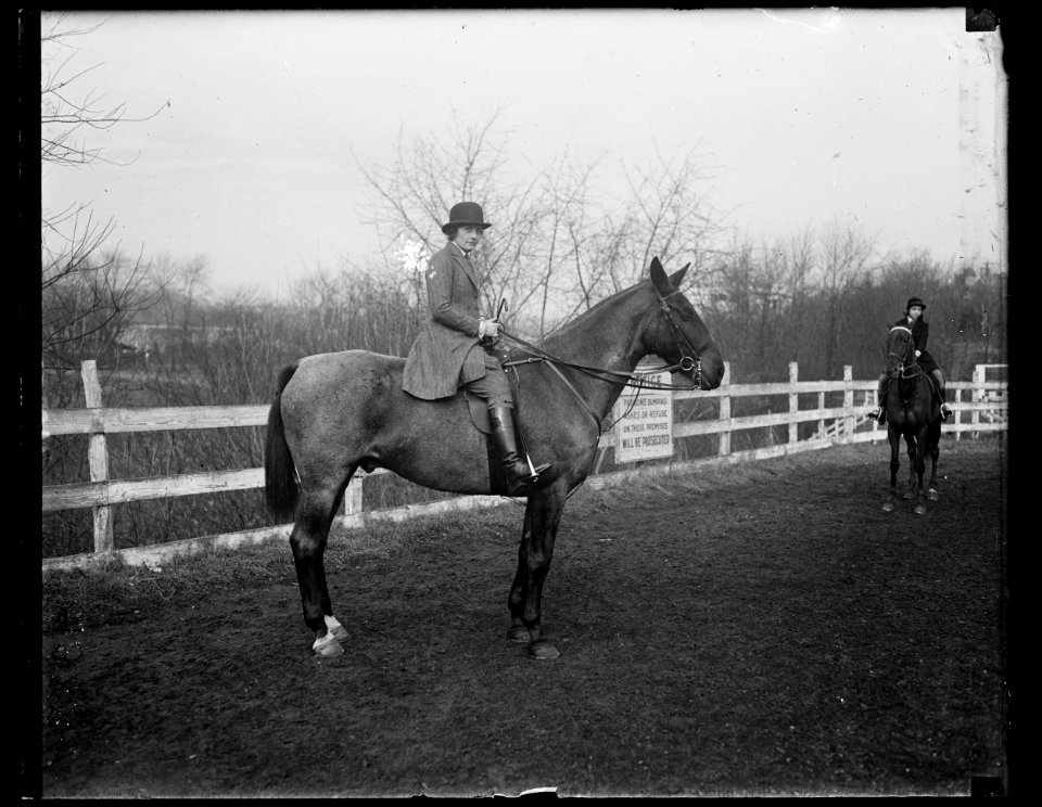 Horses LCCN2016891099