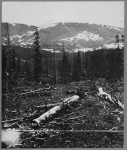 Horseshoe Mountain, from below. Park County, Colorado - NARA - 517511