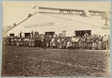 Horse shoeing shop, Quartermaster's department, Washington, D.C., April, 1865 LCCN2012650158 photo